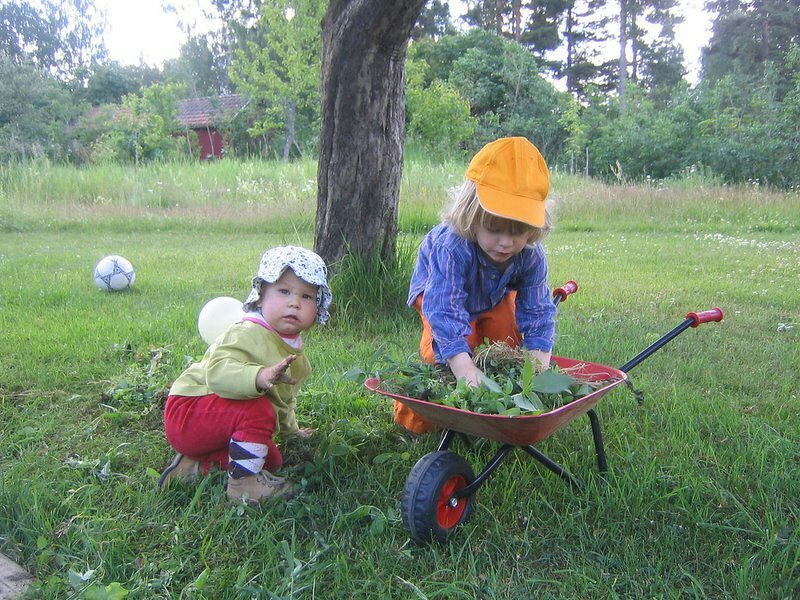 Maj-Lis och Bosse rensar ogrÀs