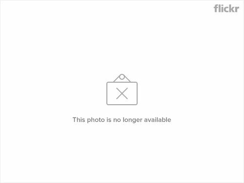 Expressen loves google-translate