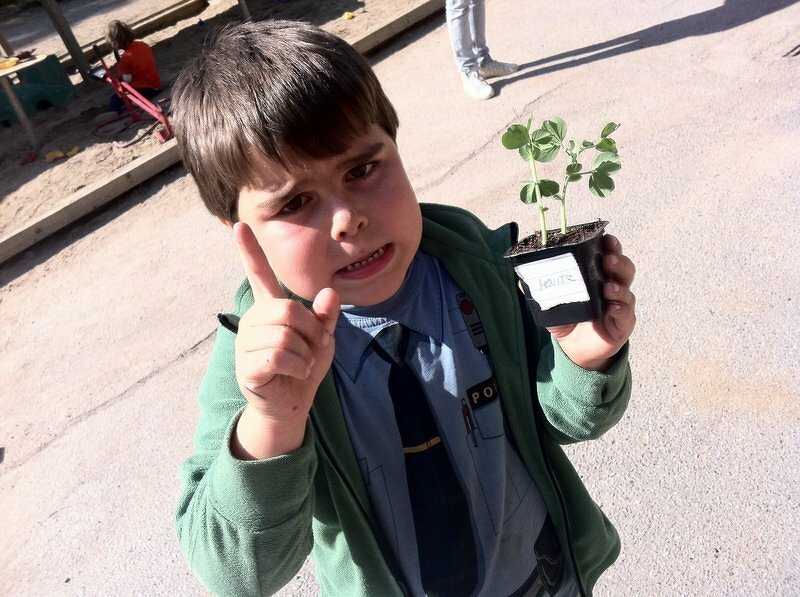 rr-inte-mitt-rt-trd_5736701481_o.jpg Rr inte mitt rt trd 5736701481 o