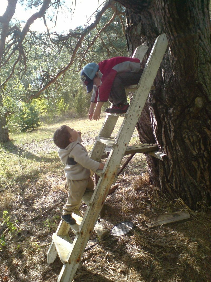 snckudden---15_502204851_o.jpg Snckudden 15 502204851 o