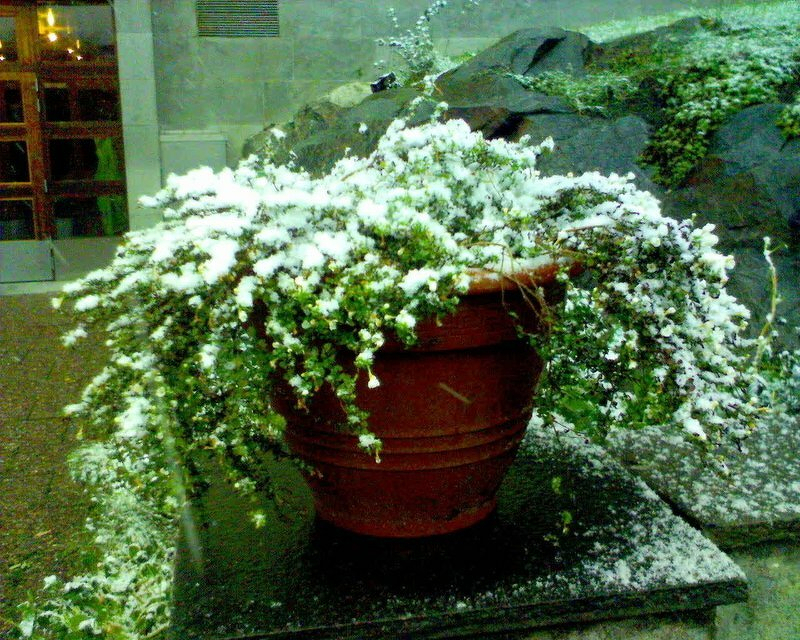 sn_285507527_o.jpg Sn 285507527 o