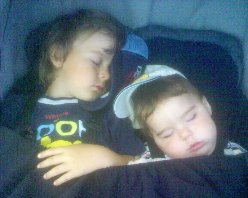 puss_196154461_o.jpg Puss 196154461 o